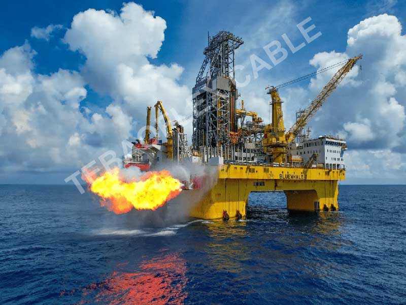 1.-Offshore-Oil-and-Gas-Platforms-s Ports
